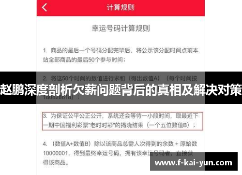 赵鹏深度剖析欠薪问题背后的真相及解决对策