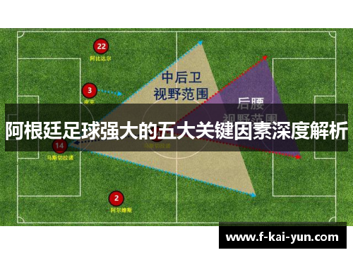 阿根廷足球强大的五大关键因素深度解析