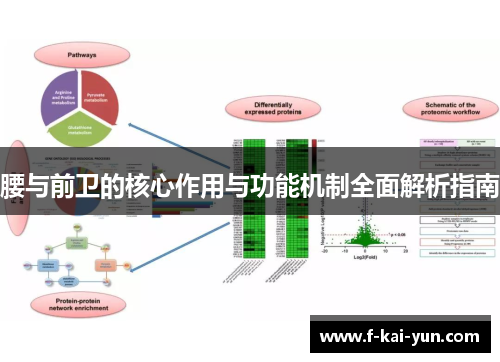 腰与前卫的核心作用与功能机制全面解析指南